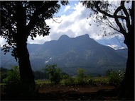 Mulanje Mt