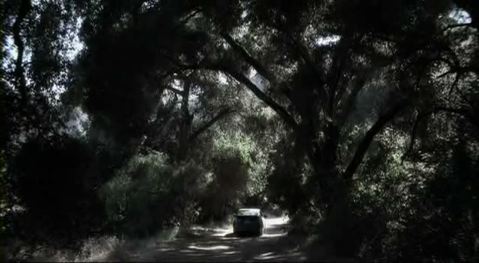 malibu