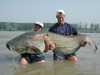 big fish